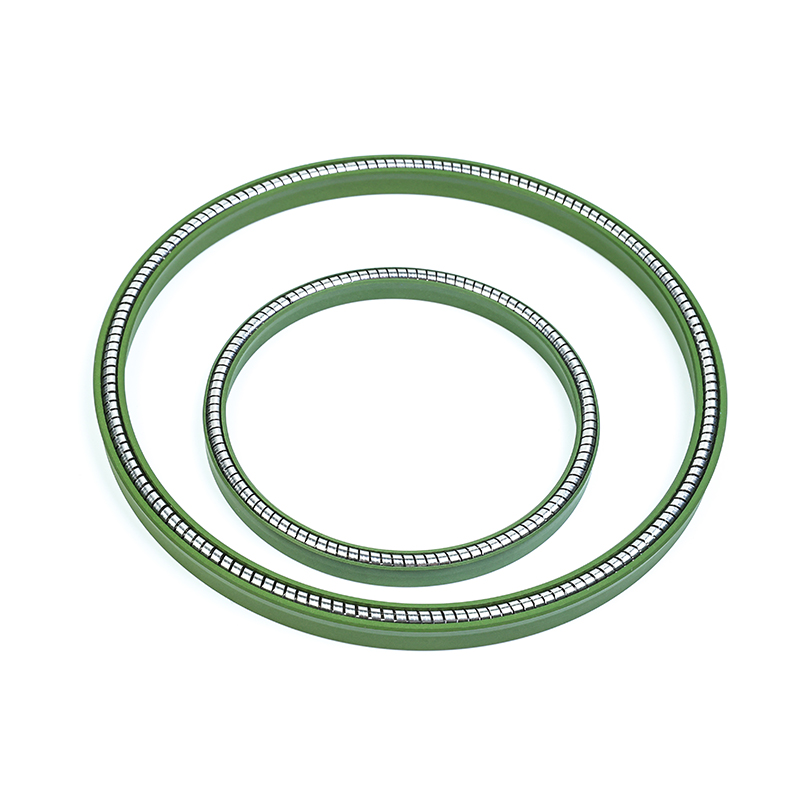 泛塞封/弹性蓄能密封圈