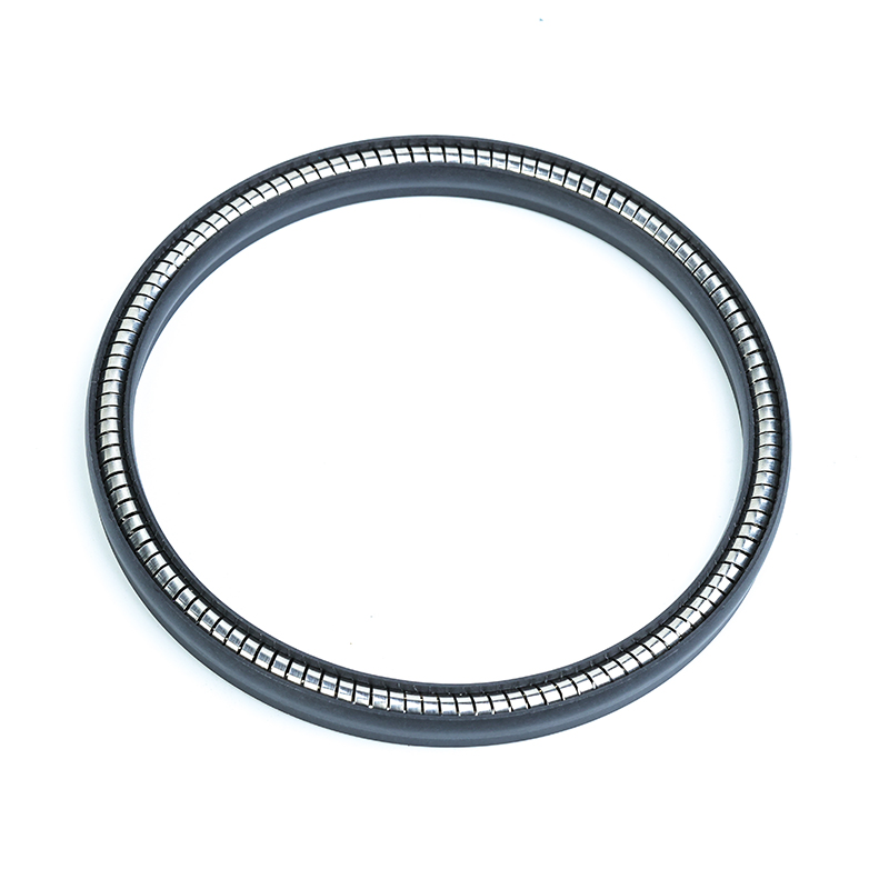 泛塞封/弹簧蓄能密封圈